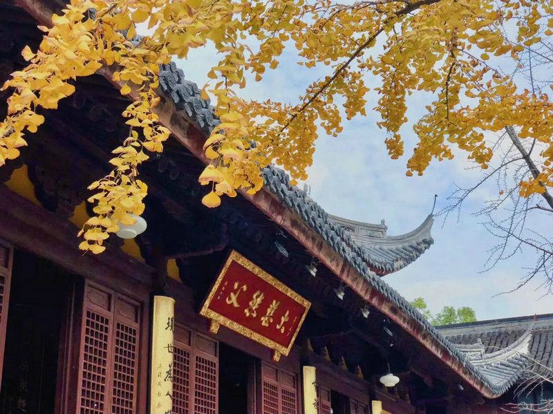 雪梨老公张衍网红雪梨被罚6555万,为何会做出 雪梨老公张衍网红雪梨被罚6555万,为何会做出