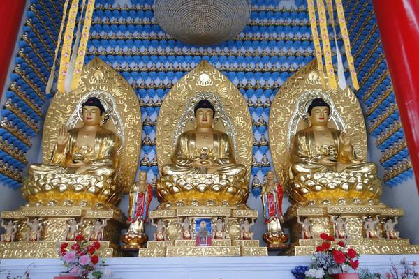 十二生肖哪些属相是大属性(十二生肖哪几个属于大属相 ) 十二生肖哪些属相是大属性(十二生肖哪几个属于大属相 )