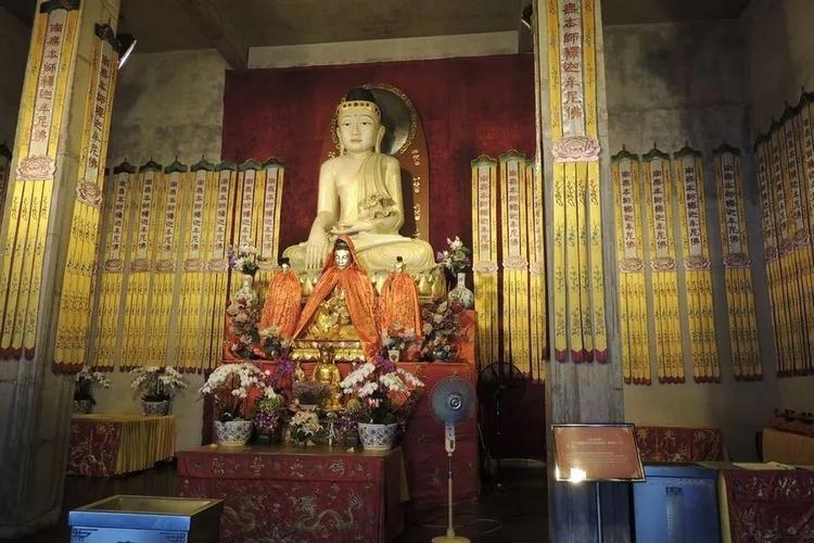 梦见牡丹花开的很漂亮代表什么 梦见牡丹花开的很漂亮代表什么