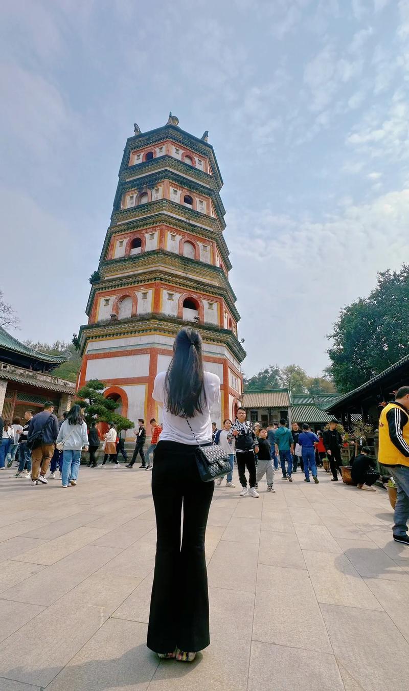 紫微斗数怎么看十二宫 紫微斗数怎么看十二宫