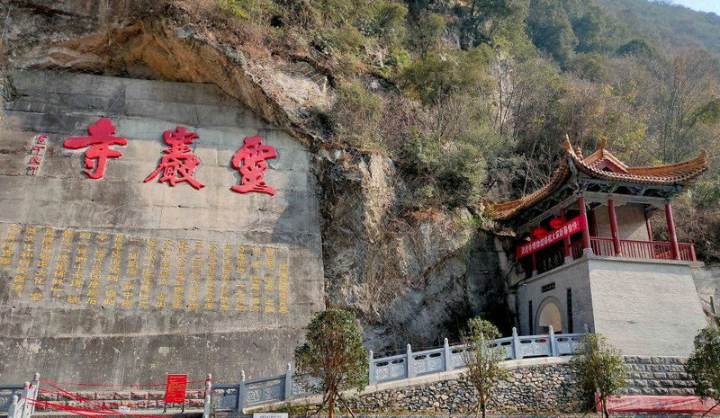 梦见死马是什么意思 梦见死马是什么意思