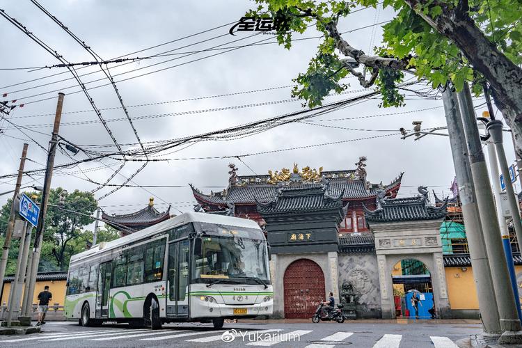 人类命运共同体成为共识 人与自然命运共同体